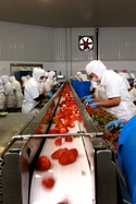Strawberry De-Capping Station